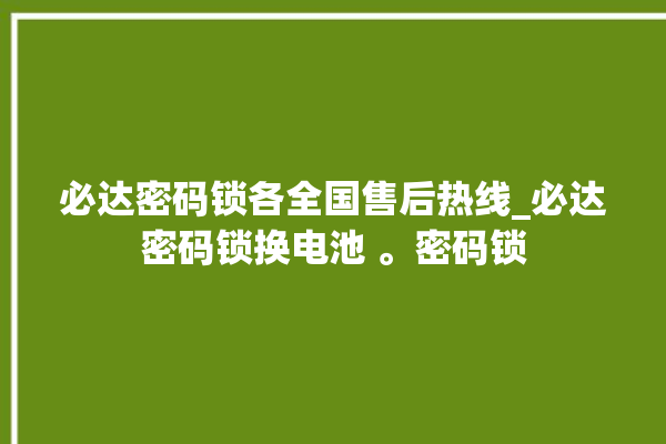 必达密码锁各全国售后热线_必达密码锁换电池 。密码锁