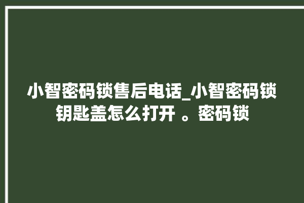 小智密码锁售后电话_小智密码锁钥匙盖怎么打开 。密码锁