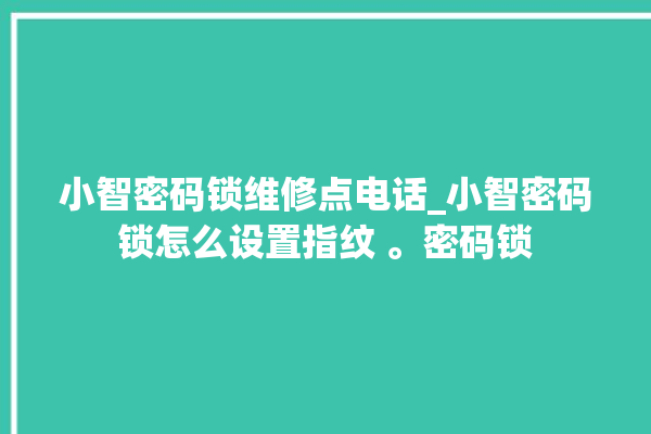 小智密码锁维修点电话_小智密码锁怎么设置指纹 。密码锁