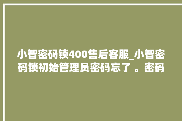 小智密码锁400售后客服_小智密码锁初始管理员密码忘了 。密码锁