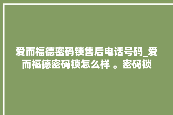 爱而福德密码锁售后电话号码_爱而福德密码锁怎么样 。密码锁