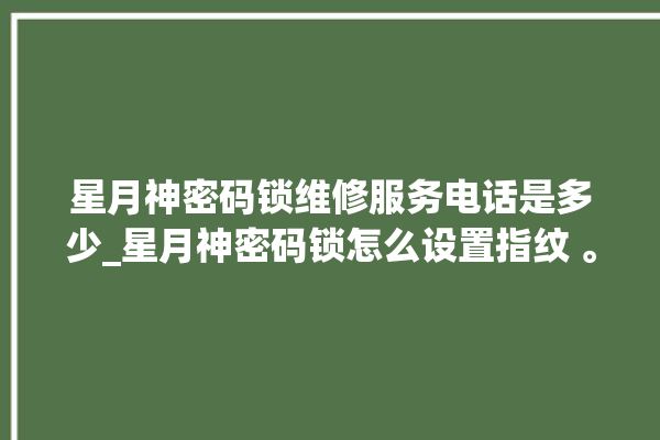 星月神密码锁维修服务电话是多少_星月神密码锁怎么设置指纹 。神密