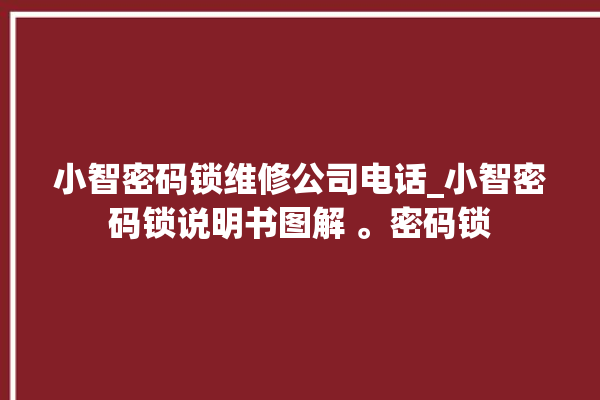 小智密码锁维修公司电话_小智密码锁说明书图解 。密码锁