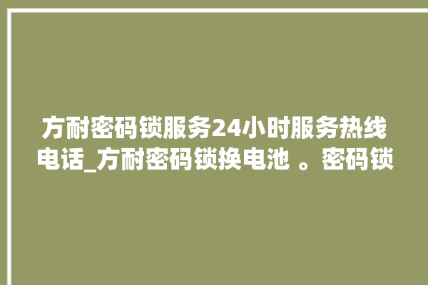 方耐密码锁服务24小时服务热线电话_方耐密码锁换电池 。密码锁