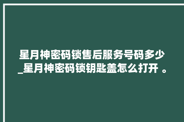 星月神密码锁售后服务号码多少_星月神密码锁钥匙盖怎么打开 。神密