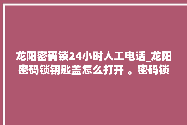 龙阳密码锁24小时人工电话_龙阳密码锁钥匙盖怎么打开 。密码锁