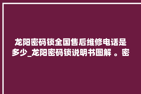 龙阳密码锁全国售后维修电话是多少_龙阳密码锁说明书图解 。密码锁