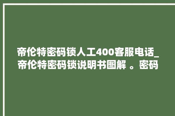 帝伦特密码锁人工400客服电话_帝伦特密码锁说明书图解 。密码锁