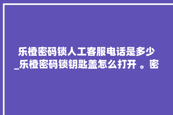 乐橙密码锁人工客服电话是多少_乐橙密码锁钥匙盖怎么打开 。密码锁