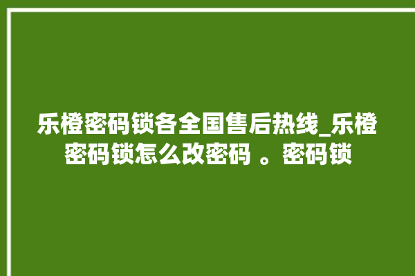 乐橙密码锁各全国售后热线_乐橙密码锁怎么改密码 。密码锁