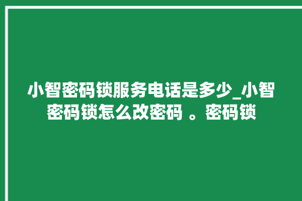 小智密码锁服务电话是多少_小智密码锁怎么改密码 。密码锁