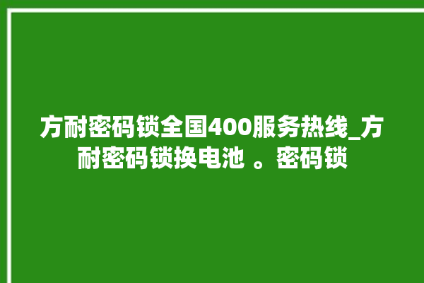 方耐密码锁全国400服务热线_方耐密码锁换电池 。密码锁