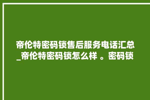 帝伦特密码锁售后服务电话汇总_帝伦特密码锁怎么样 。密码锁