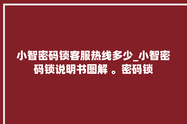 小智密码锁客服热线多少_小智密码锁说明书图解 。密码锁