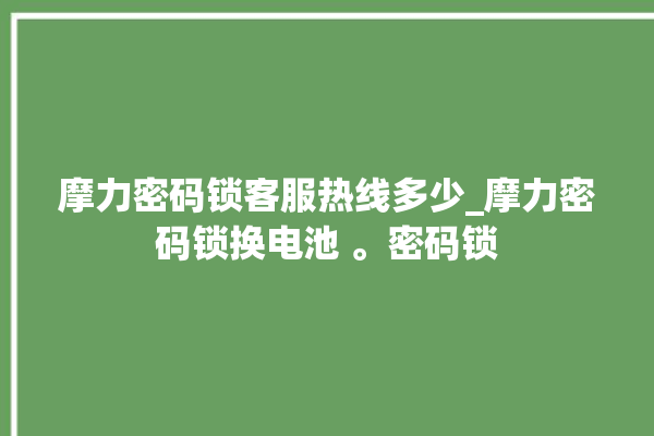 摩力密码锁客服热线多少_摩力密码锁换电池 。密码锁