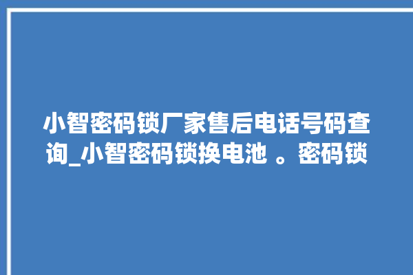 小智密码锁厂家售后电话号码查询_小智密码锁换电池 。密码锁