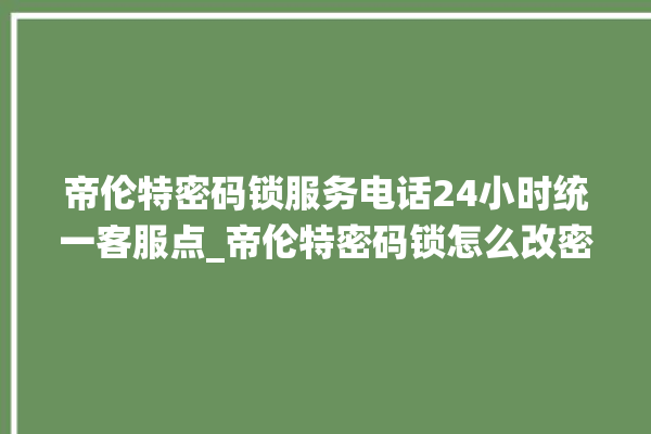 帝伦特密码锁服务电话24小时统一客服点_帝伦特密码锁怎么改密码 。密码锁