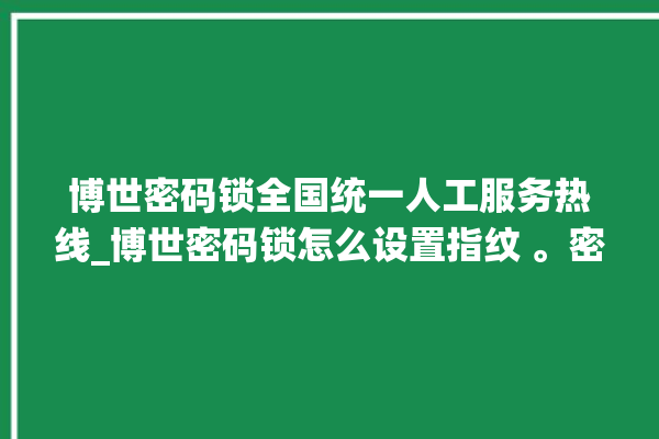 博世密码锁全国统一人工服务热线_博世密码锁怎么设置指纹 。密码锁