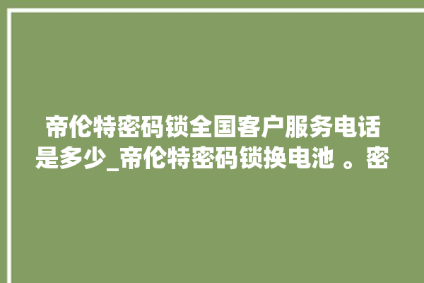 帝伦特密码锁全国客户服务电话是多少_帝伦特密码锁换电池 。密码锁