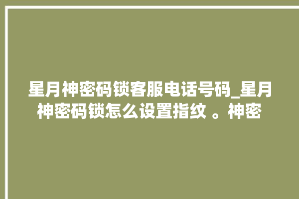 星月神密码锁客服电话号码_星月神密码锁怎么设置指纹 。神密