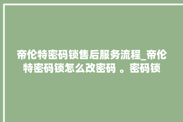 帝伦特密码锁售后服务流程_帝伦特密码锁怎么改密码 。密码锁