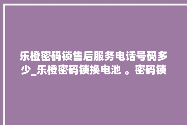 乐橙密码锁售后服务电话号码多少_乐橙密码锁换电池 。密码锁