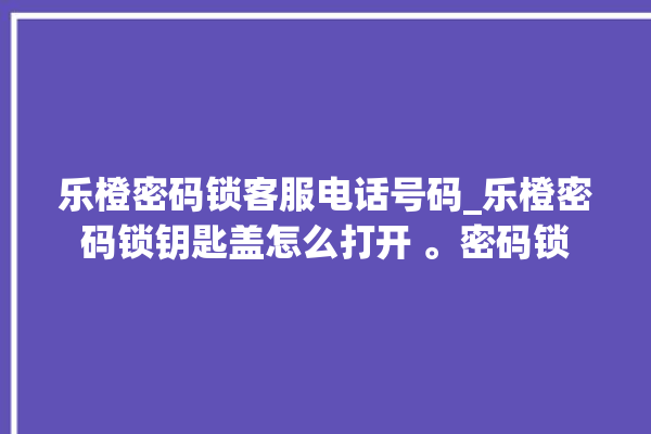 乐橙密码锁客服电话号码_乐橙密码锁钥匙盖怎么打开 。密码锁