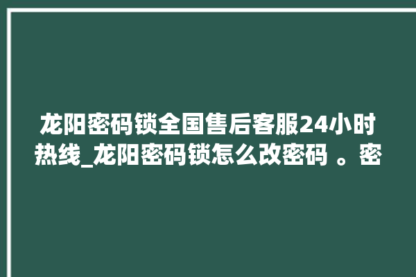 龙阳密码锁全国售后客服24小时热线_龙阳密码锁怎么改密码 。密码锁