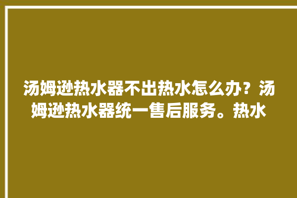 汤姆逊热水器不出热水怎么办？汤姆逊热水器统一售后服务。热水器_汤姆逊