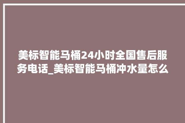 美标智能马桶24小时全国售后服务电话_美标智能马桶冲水量怎么调节 。马桶