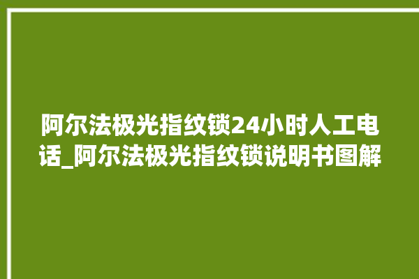 阿尔法极光指纹锁24小时人工电话_阿尔法极光指纹锁说明书图解 。阿尔法