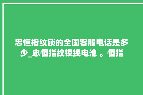 忠恒指纹锁的全国客服电话是多少_忠恒指纹锁换电池 。恒指