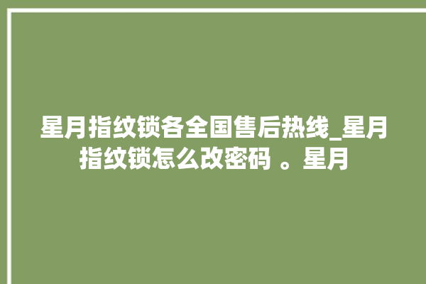 星月指纹锁各全国售后热线_星月指纹锁怎么改密码 。星月