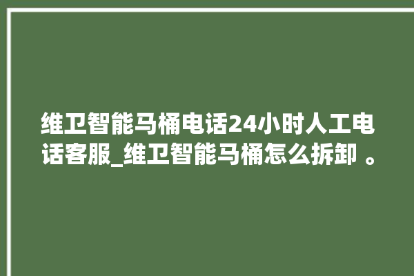 维卫智能马桶电话24小时人工电话客服_维卫智能马桶怎么拆卸 。马桶