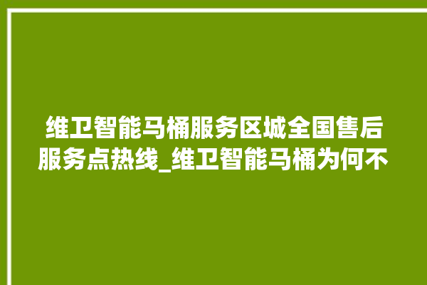 维卫智能马桶服务区城全国售后服务点热线_维卫智能马桶为何不蓄水 。马桶