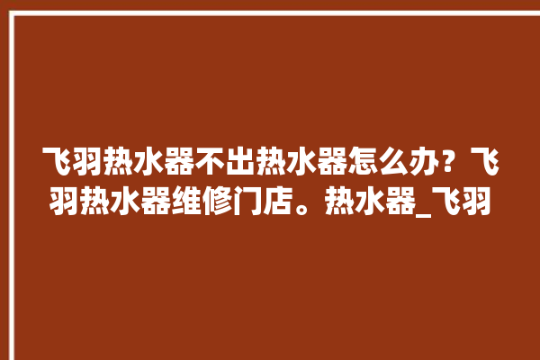 飞羽热水器不出热水器怎么办？飞羽热水器维修门店。热水器_飞羽