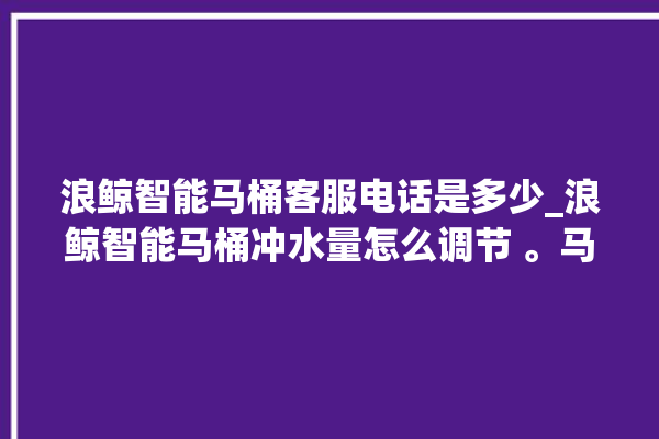 浪鲸智能马桶客服电话是多少_浪鲸智能马桶冲水量怎么调节 。马桶