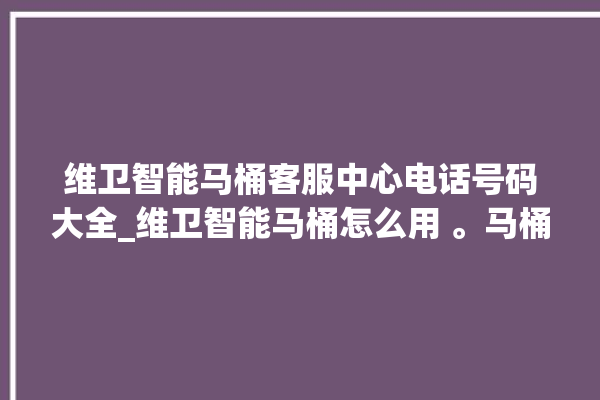 维卫智能马桶客服中心电话号码大全_维卫智能马桶怎么用 。马桶