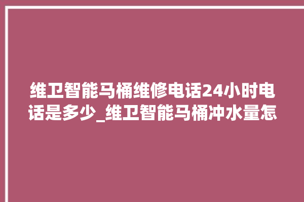 维卫智能马桶维修电话24小时电话是多少_维卫智能马桶冲水量怎么调节 。马桶