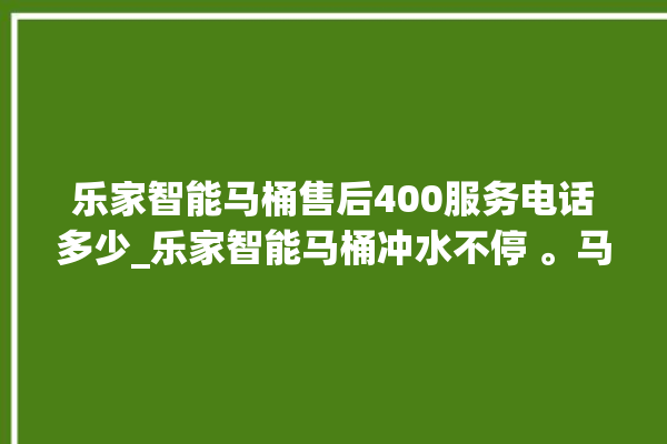 乐家智能马桶售后400服务电话多少_乐家智能马桶冲水不停 。马桶