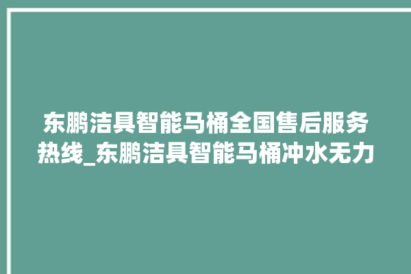 东鹏洁具智能马桶全国售后服务热线_东鹏洁具智能马桶冲水无力怎么解决 。马桶