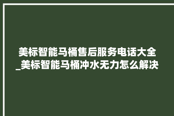 美标智能马桶售后服务电话大全_美标智能马桶冲水无力怎么解决 。马桶