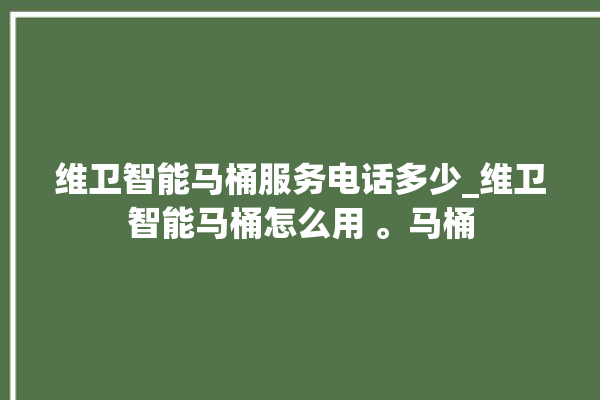 维卫智能马桶服务电话多少_维卫智能马桶怎么用 。马桶