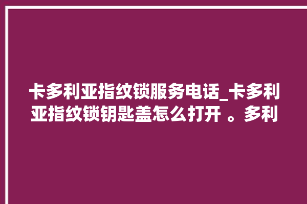 卡多利亚指纹锁服务电话_卡多利亚指纹锁钥匙盖怎么打开 。多利亚