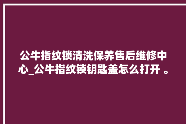 公牛指纹锁清洗保养售后维修中心_公牛指纹锁钥匙盖怎么打开 。公牛