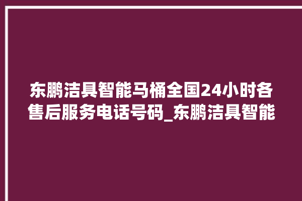 东鹏洁具智能马桶全国24小时各售后服务电话号码_东鹏洁具智能马桶怎么用 。马桶