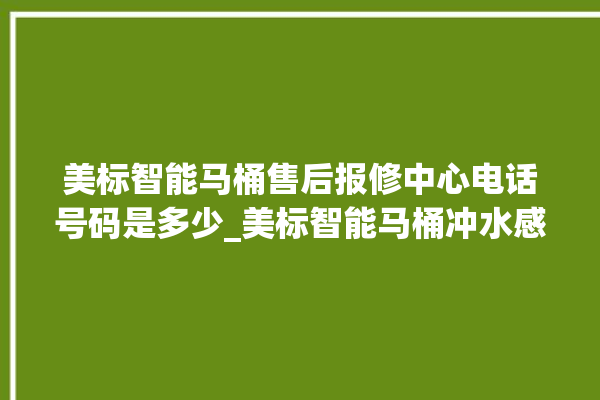 美标智能马桶售后报修中心电话号码是多少_美标智能马桶冲水感应怎么调 。马桶