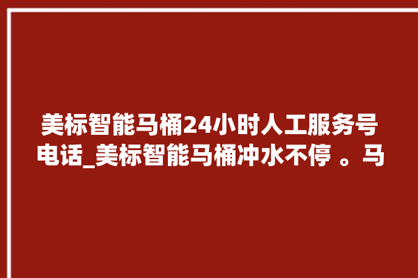 美标智能马桶24小时人工服务号电话_美标智能马桶冲水不停 。马桶