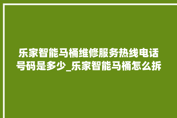 乐家智能马桶维修服务热线电话号码是多少_乐家智能马桶怎么拆卸 。马桶