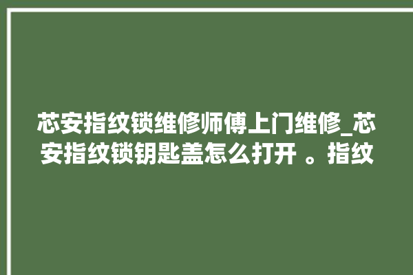 芯安指纹锁维修师傅上门维修_芯安指纹锁钥匙盖怎么打开 。指纹锁